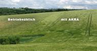 Versuchsfläche in der Praxis OHNE und MIT AKRA-