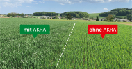 AKRA Kombi im Vergleich-