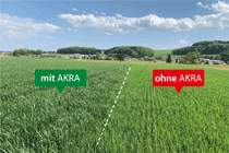 Effets positifs de l'utilisation de AKRA